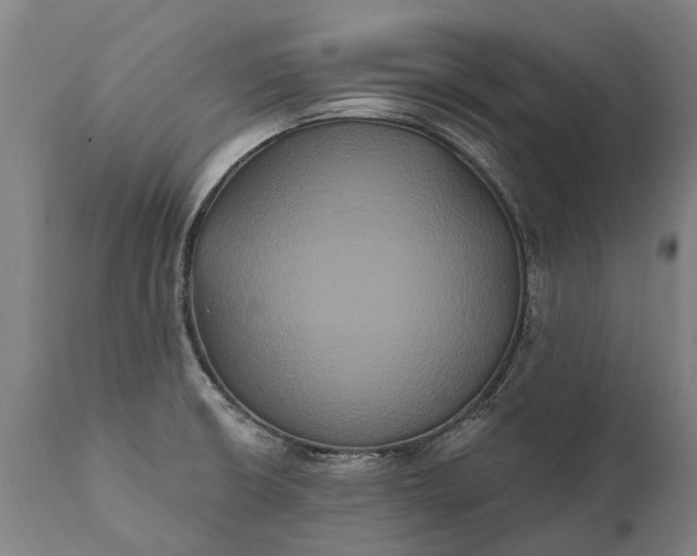 X0000112001426200908171408