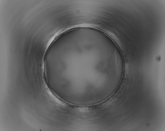 X0000112001428200908171408