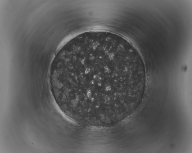 X0000112001429200908171408