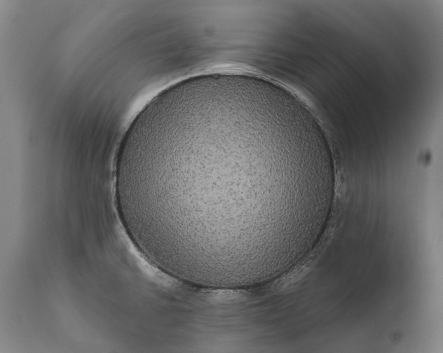 X0000112001430200908171408