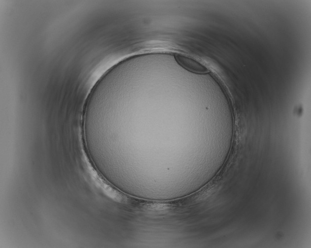 X0000112001431200908171408