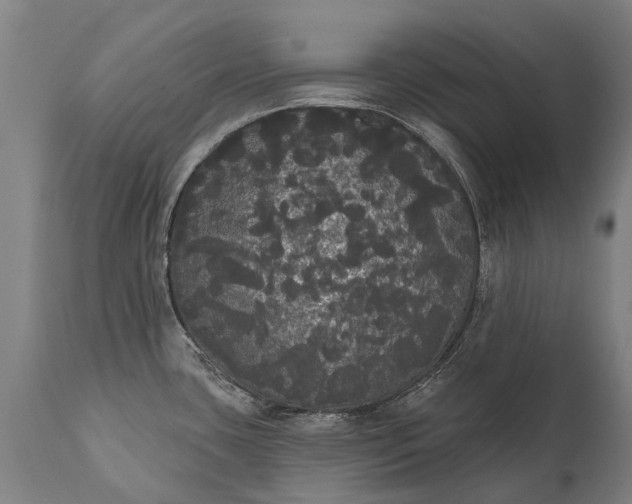 X0000112001435200908171408