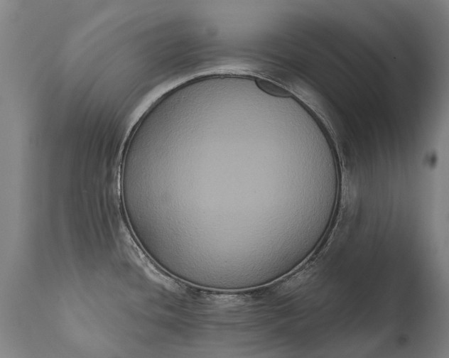 X0000112001436200908171408