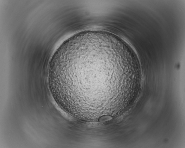 X0000112001437200908171408