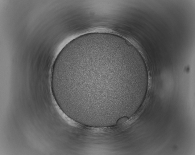 X0000112001438200908171408