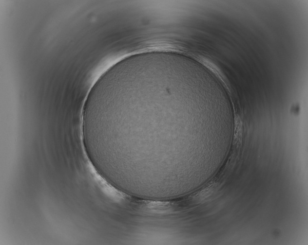 X0000112001439200908171408