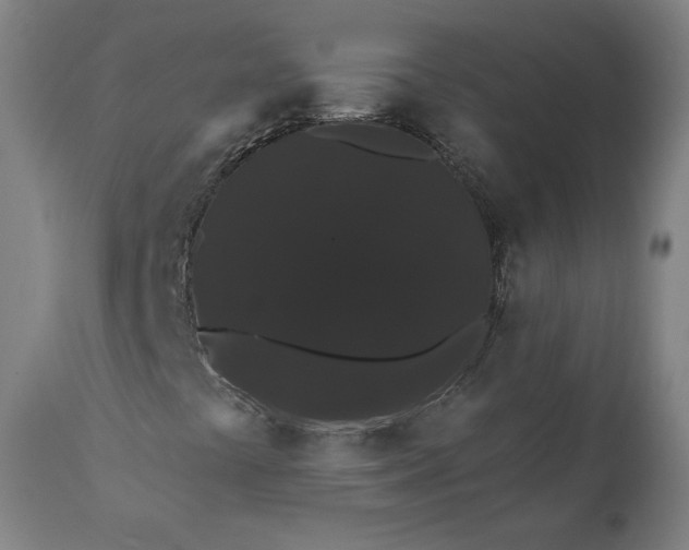 X0000112001441200908171408