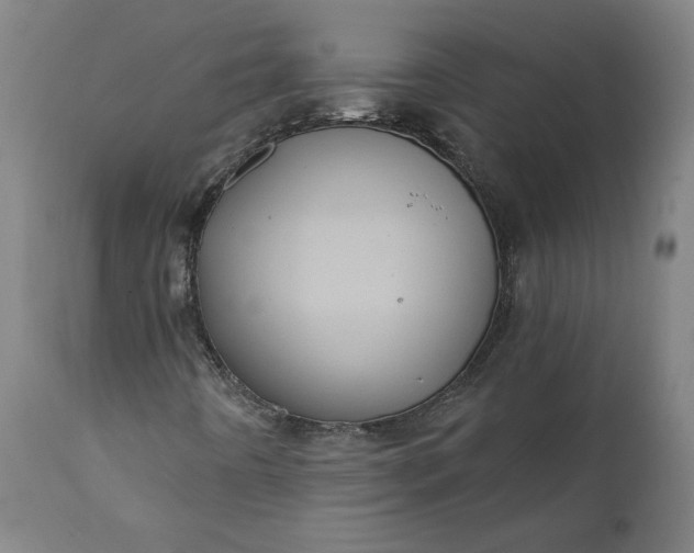 X0000112001442200908171408