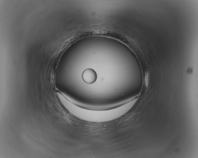 X0000112001444200908171408