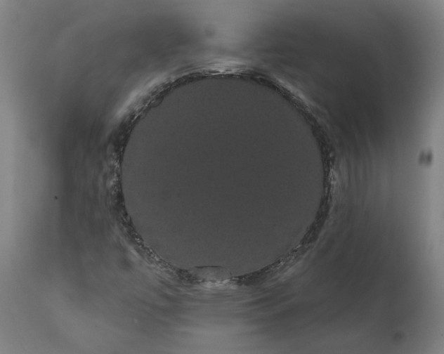 X0000112001447200908171408