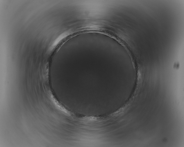 X0000112001450200908171408