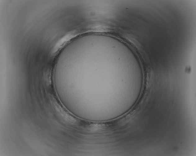 X0000112001451200908171408