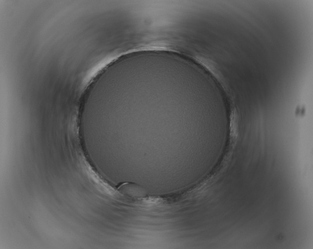 X0000112001452200908171408