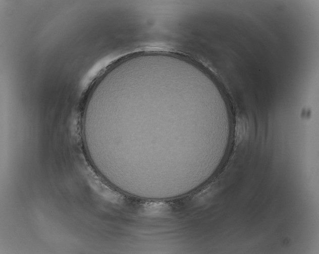 X0000112001454200908171408