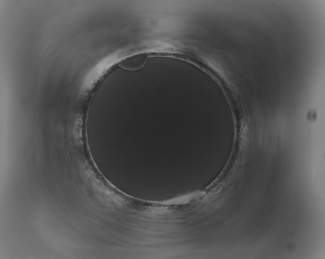 X0000112001455200908171408