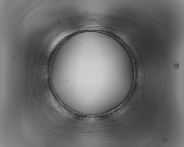 X0000112001458200908171407