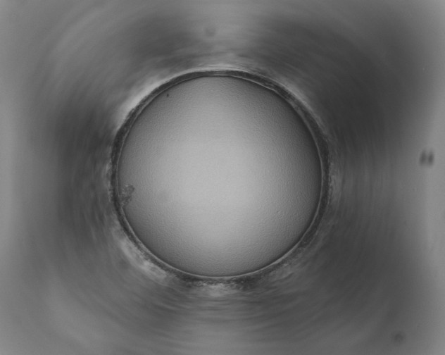 X0000112001460200908171407