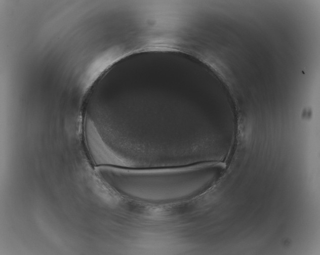 X0000112001461200908171407