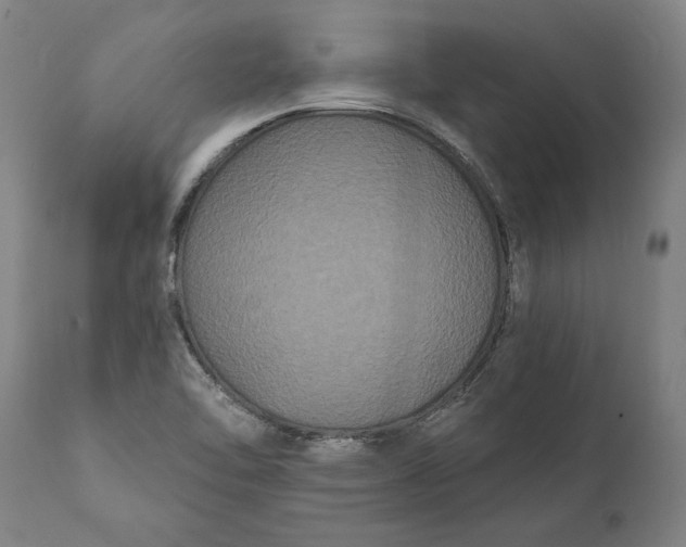 X0000112001462200908171407