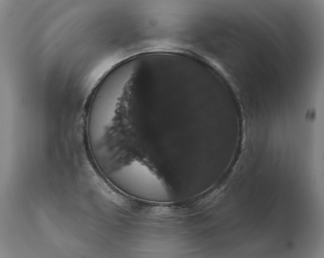 X0000112001463200908171407