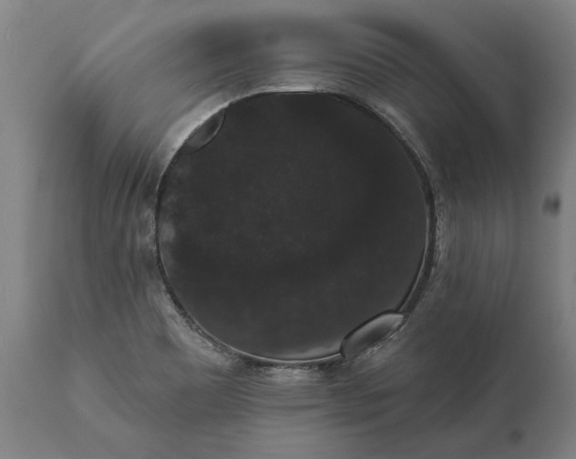 X0000112001465200908171407