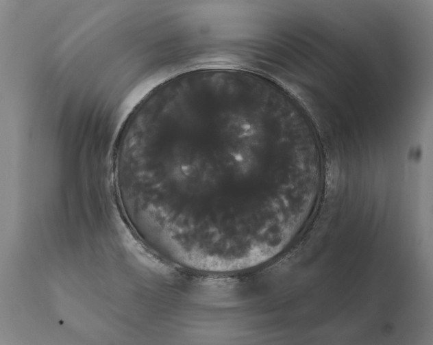 X0000112001466200908171407