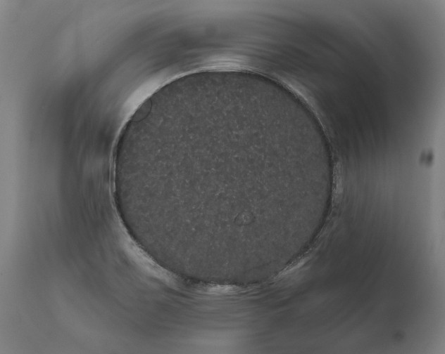 X0000112001467200908171407