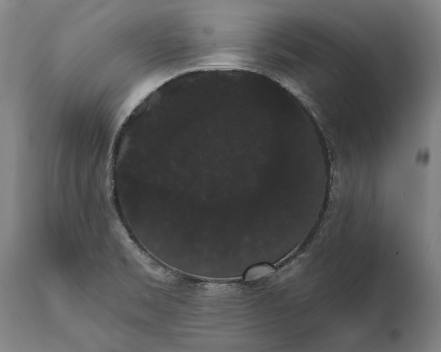 X0000112001469200908171407