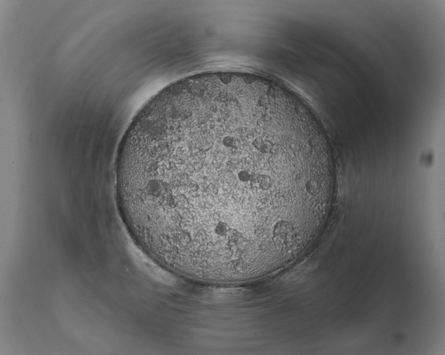 X0000112001471200908171407