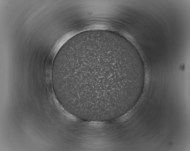 X0000112001473200908171407