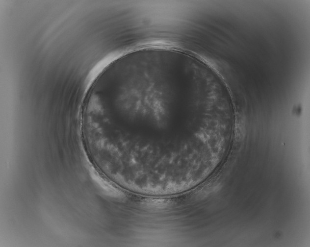 X0000112001474200908171407