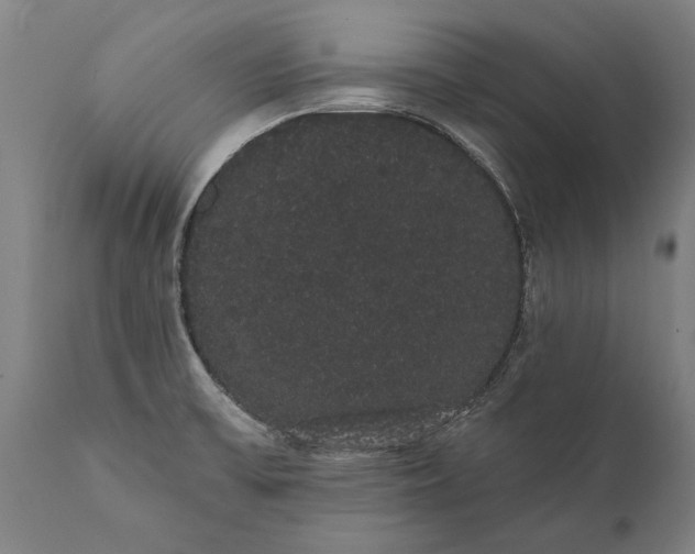 X0000112001475200908171407