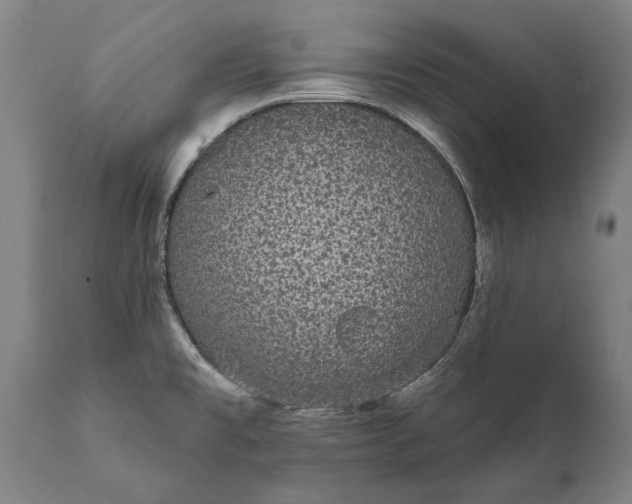 X0000112001477200908171407