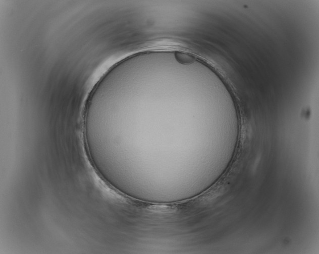 X0000112001478200908171407