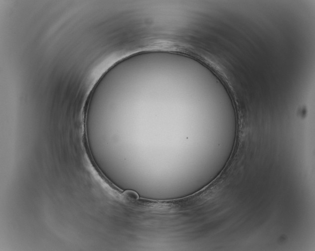 X0000112001479200908171407