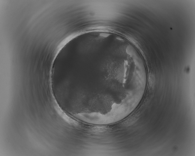 X0000112001482200908171407