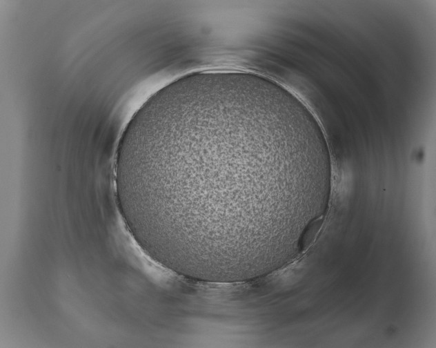 X0000112001485200908171407