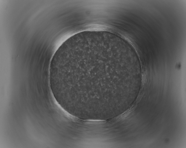 X0000112001487200908171407