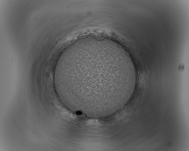 X0000112001489200908171406