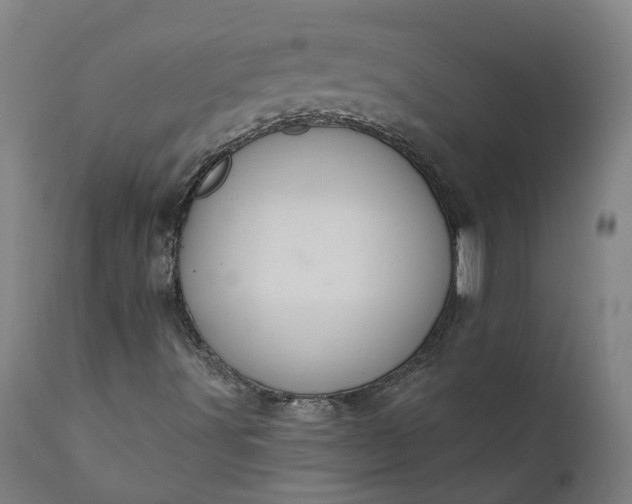 X0000112001491200908171406