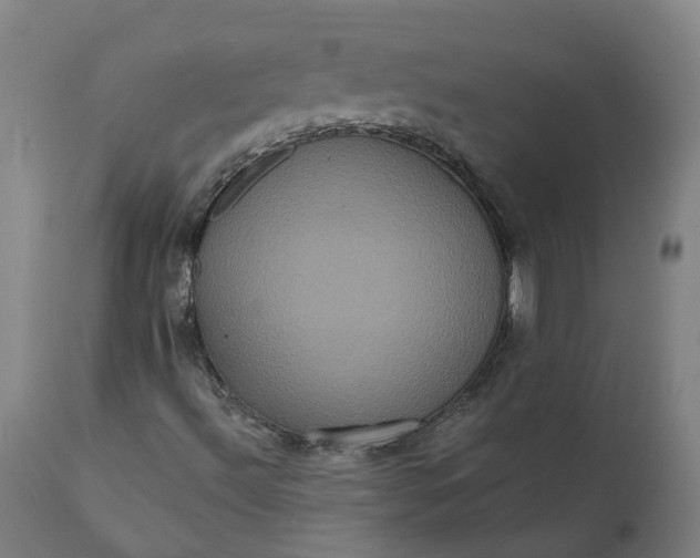 X0000112001492200908171406