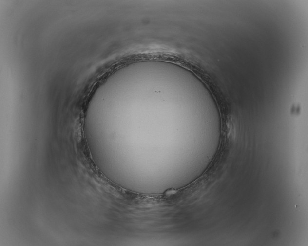 X0000112001493200908171406