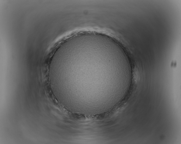 X0000112001494200908171406