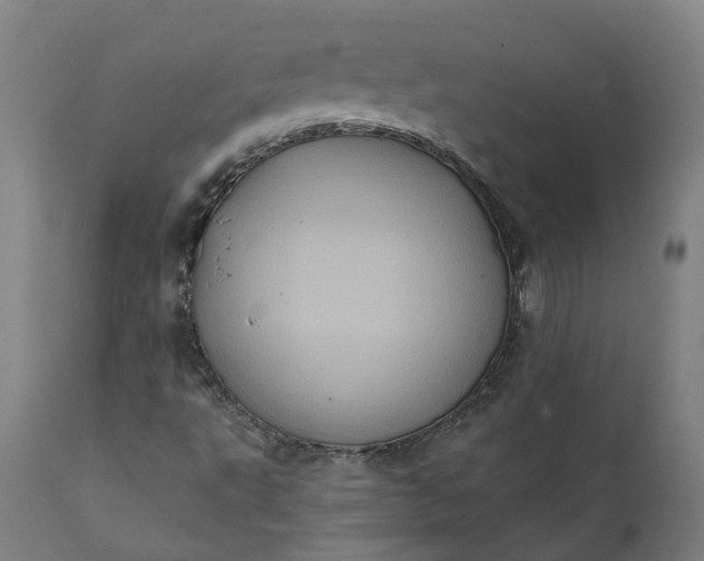 X0000112001495200908171406