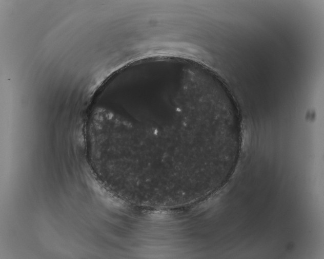 X0000112001497200908171406