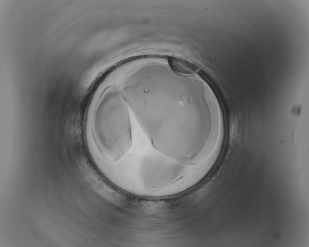 X0000112001498200908171406