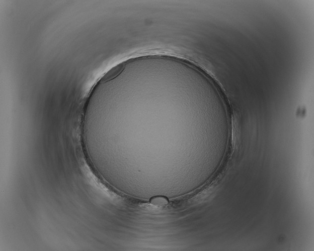 X0000112001500200908171406