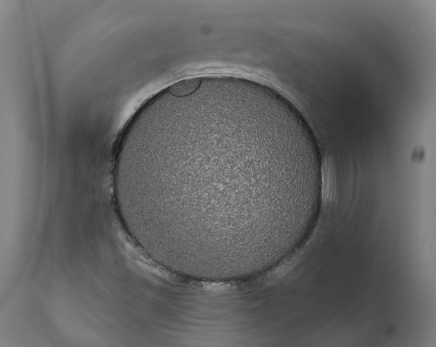 X0000112001501200908171407