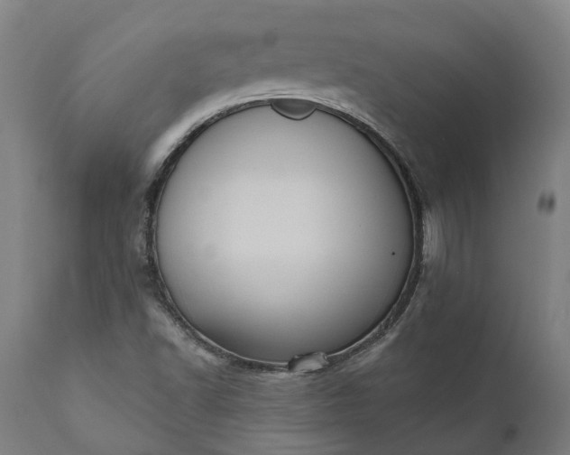 X0000112001502200908171407