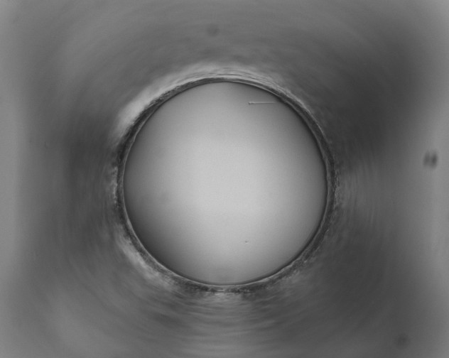 X0000112001503200908171407